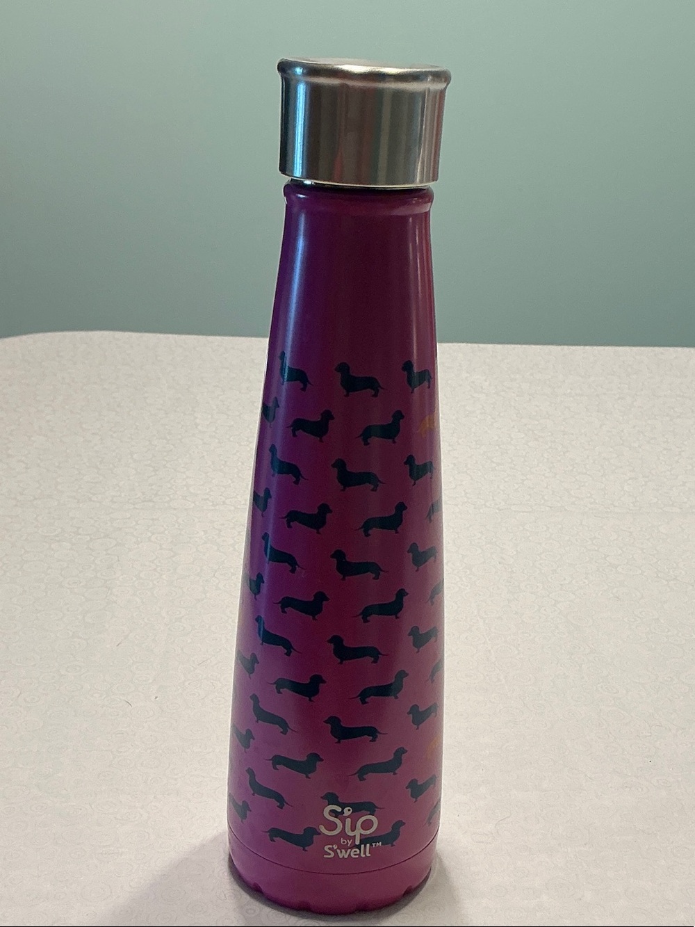 S'ip by S'well 15-ounce stainless steel water bottle in the "Top Dog" purple